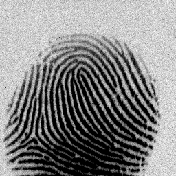 FingerCode: A Filterbank for Fingerprint Representation and Matching