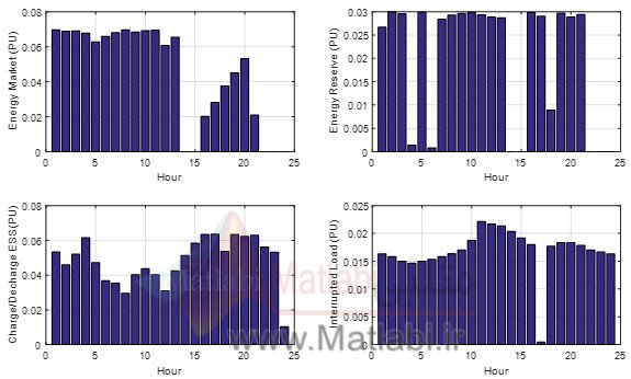 Stochastic approach to represent distributed energy resources in the form of a virtual power plant in energy and reserve market