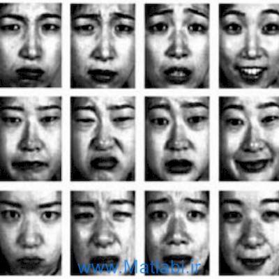 A New Facial Expression Recognition Method Based on Local Gabor Filter Bank and PCA plus LDA
