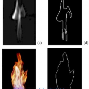 A New Edge Detection Algorithm for Flame Image Processing