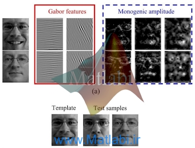 Monogenic Binary Coding: An Efficient Local Feature Extraction Approach to Face Recognition