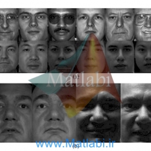 Fusing Local Patterns of Gabor Magnitude and Phase for Face Recognition